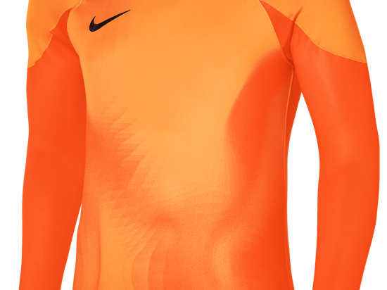 Maillot de gardien Nike Junior DriFit ADV