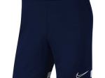 Short Nike Adulte DriFit Academy21