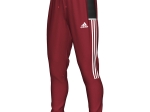 Pantalon de survêtement Adidas Junior Team19