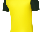 Maillot Nike Adulte DriFit Tiempo Premier II