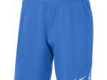 Short Nike Adulte Team Spike