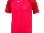 Maillot Nike Junior DriFit Academy Pro