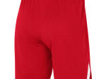 Short Nike Adulte Team Spike