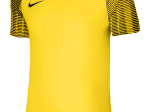 Maillot Nike Junior DriFit Academy