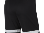 Short Nike Adulte DriFit Academy21