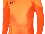 Maillot de gardien Nike Junior DriFit ADV