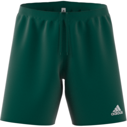 Short Adulte Adidas PARMA 16