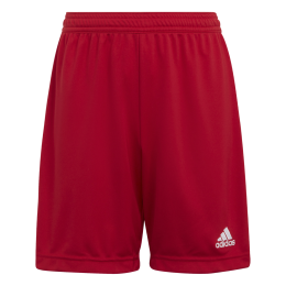 Short Junior Adidas Entrada22