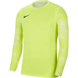 Maillot de gardien Nike Adulte DriFit Park